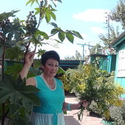 ���������� �������, ���� ������� ������, 65 ���, ������������ ��� ������, ����� � ���������, c�������� ���������