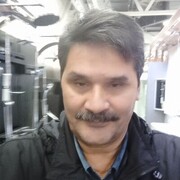  -,   , 51 ,   ,   