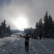 ���������� �������, ���� ������� �������, 39 ���, ������������ ��� ����� � ���������, c�������� ���������, ���������