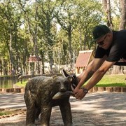  ,   , 34 ,   