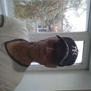  ,   , 52 ,   ,   