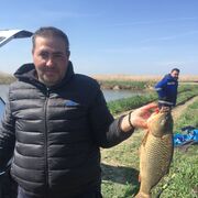 ���������� �����, ���� ������� �����, 46 ���, ������������ ��� ������, ����� � ���������