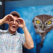 ���������� �������, ���� ������� ������, 30 ���, ������������ ��� ����� � ���������, c�������� ���������