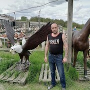  ,   , 41 ,   ,   