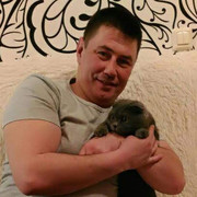 ���������� ���������, ���� ������� ���������, 41 ���, ������������ ��� ������, ����� � ���������, c�������� ���������