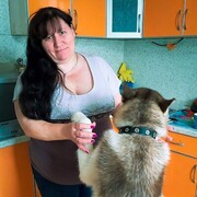 ���������� ������ ��������, ���� ������� �������, 47 ���, ������������ ��� c�������� ���������