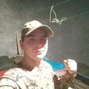  ,  , 32