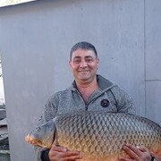  ,   , 43 ,   ,   