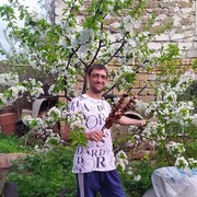 ���������� �����������, ���� ������� ����� ������, 38 ���, ������������ ��� ������, ����� � ���������