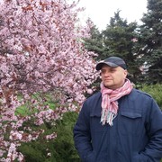   ,   , 54 ,     , c 