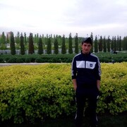  ,  Alexander, 31