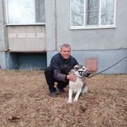 ���������� �����������, ���� ������� ������, 44 ����, ������������ ��� ������, ����� � ���������, c�������� ���������