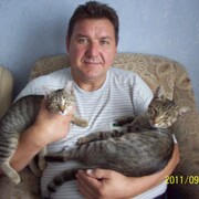 ���������� ������������, ���� ������� ����, 61 ���, ������������ ��� ����� � ���������, c�������� ���������