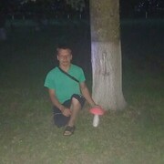  ,  Vova, 25