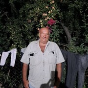   ,   , 62 ,   ,   