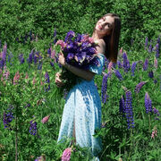 ���������� ������, ���� ������� ������, 23 ����, ������������ ��� ������, ����� � ���������