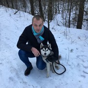 ���������� �������, ������� ���������, 37