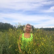 ���������� �����, ���� ������� �������, 53 ����, ������������ ��� ������, ����� � ���������, c�������� ���������