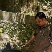 ���������� �������, ������� ������������, 43