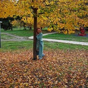 ���������� ���������, ���� ������� ������, 51 ���, ������������ ��� c�������� ���������