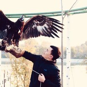 ���������� �������, ���� ������� �����, 36 ���, ������������ ��� ������, ����� � ���������