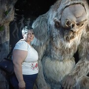 ������, �����