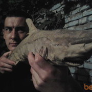  ,   , 39 ,   ,   , c 