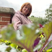 ���������� ������, ���� ������� ����������, 48 ���, ������������ ��� ������, ����� � ���������, c�������� ���������