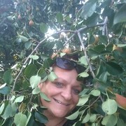 ���������� ������, ���� ������� Olga, 55 ���, ������������ 