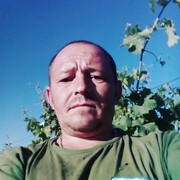  ,   , 43 ,   