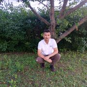  ,   , 41 ,   ,   