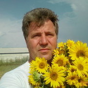  ,   , 66 ,   