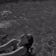 ���������� ������-��-����, ���� ������� �����, 36 ���, ������������ ��� ���������