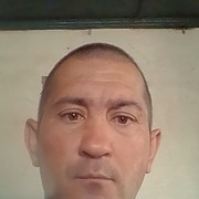 ,  , 43