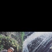 ���������� ���������, ���� ������� ������, 38 ���, ������������ ��� ������, ����� � ���������