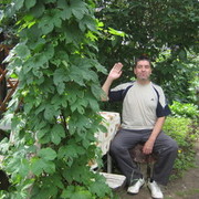  ,   , 60 ,   ,   , c 