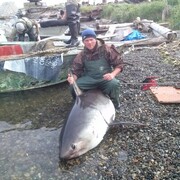 ���������� ���������, ���� ������� ������, 40 ���, ������������ ��� c�������� ���������