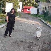  ,   , 44 ,     , c 