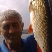  ,   , 51 ,   c 