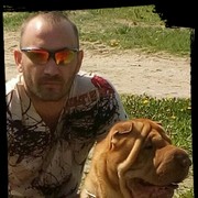 ���������� ������ ��������, ���� ������� ������, 43 ����, ������������ ��� ������, ����� � ���������, c�������� ���������