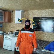 ������ ����