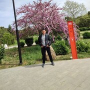 ���������� �����������, ���� ������� ������, 29 ���, ������������ ��� ������, ����� � ���������