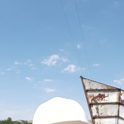  ,  , 61