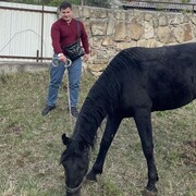 ���������� ����������, ���� ������� ��������, 30 ���, ������������ ��� ������, ����� � ���������