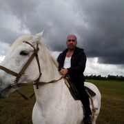 ���������� �����, ���� ������� ��������, 46 ���, ������������ ��� ������, ����� � ���������