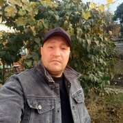  ,   , 44 ,  