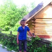 ���������� �������, ���� ������� Viteok, 31 ���, ������������ ��� ������, ����� � ���������, c�������� ���������