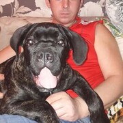 ���������� ��������, ���� ������� ���������, 40 ���, ������������ ��� ������, ����� � ���������