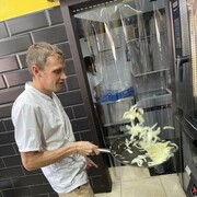 ���������� �����, ���� ������� Vladimir, 28 ���, ������������ ��� ������, ����� � ���������, c�������� ���������, ���������