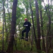 ���������� �����������, ���� ������� �������, 33 ����, ������������ ��� ������, ����� � ���������, c�������� ���������